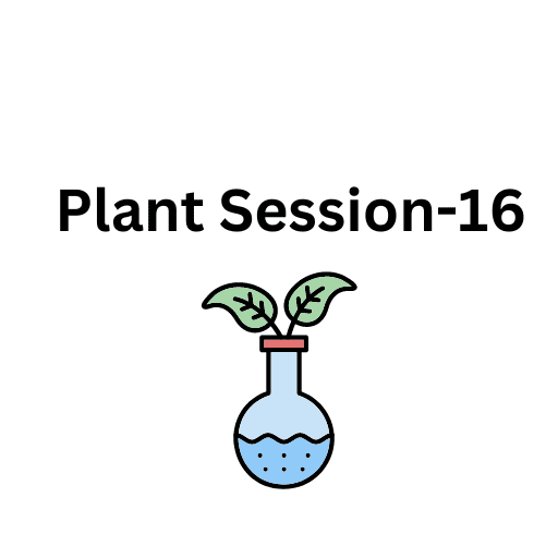 Plant Session-16